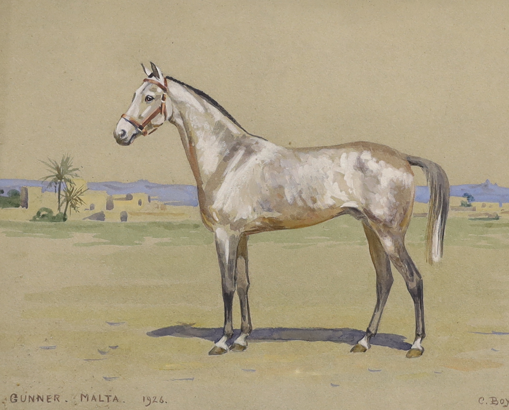 Cerise Boyle (b.1875), equestrian interest heightened watercolour on card, ‘Gunner, Malta, 1926’, signed, mounted, 23 x 29cm, unframed